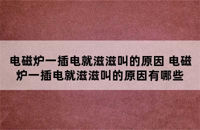 电磁炉一插电就滋滋叫的原因 电磁炉一插电就滋滋叫的原因有哪些